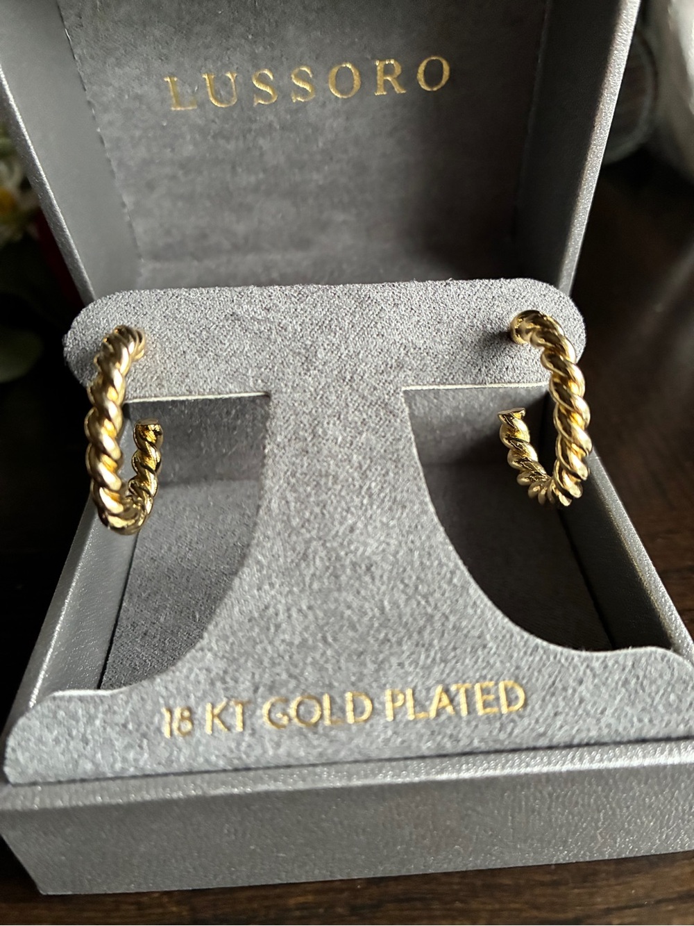 18K Gold-Plated Twisted Hoop Earrings - Gold - Picture 1 of 9